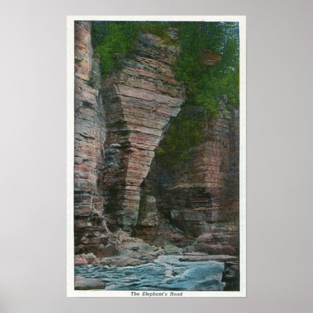 Affiche Vue de la tête de l'éléphant (Devant)