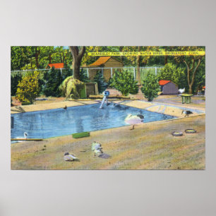 Affiche Vue de parc de Beardsley de Waterbirds