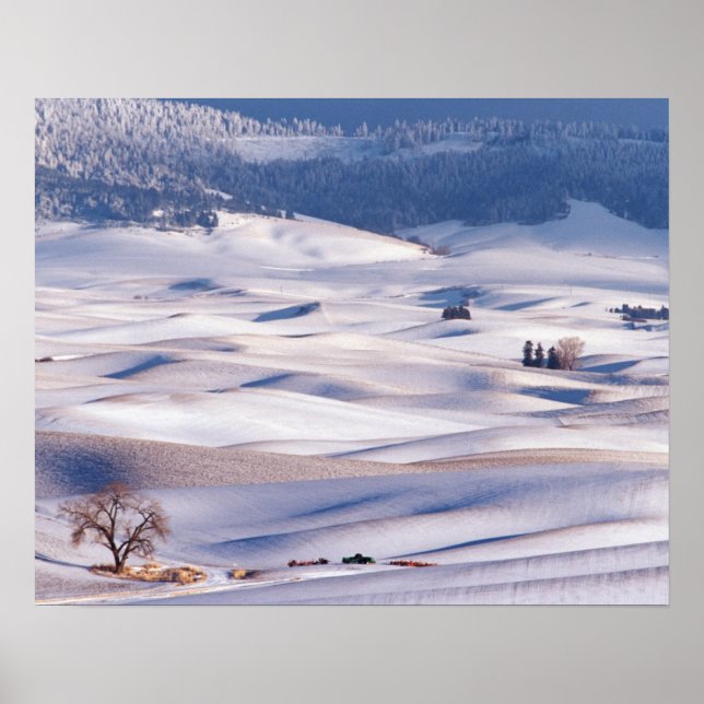 Affiche Vue de Steptoe Butte de collines ondoyantes recouv (Devant)