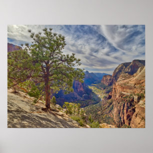 Affiche Vue de Zion Canyon depuis Angels Landing