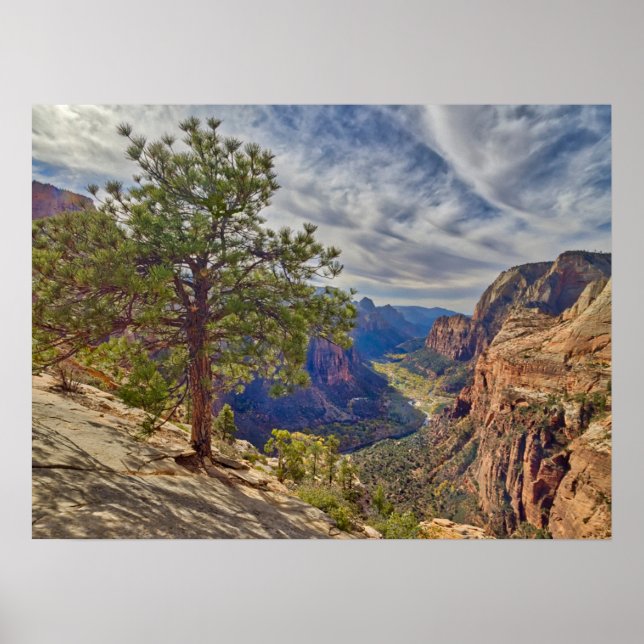 Affiche Vue de Zion Canyon depuis Angels Landing (Devant)