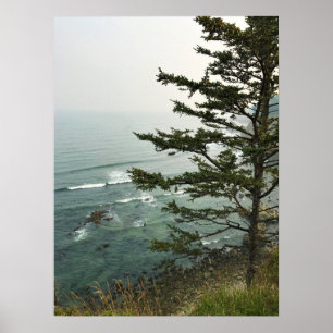 Affiche Vue depuis Simpson Reef Overlook, côte de l'Oregon