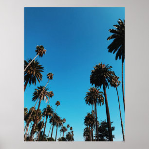 Affiche Vue des arbres de Worm