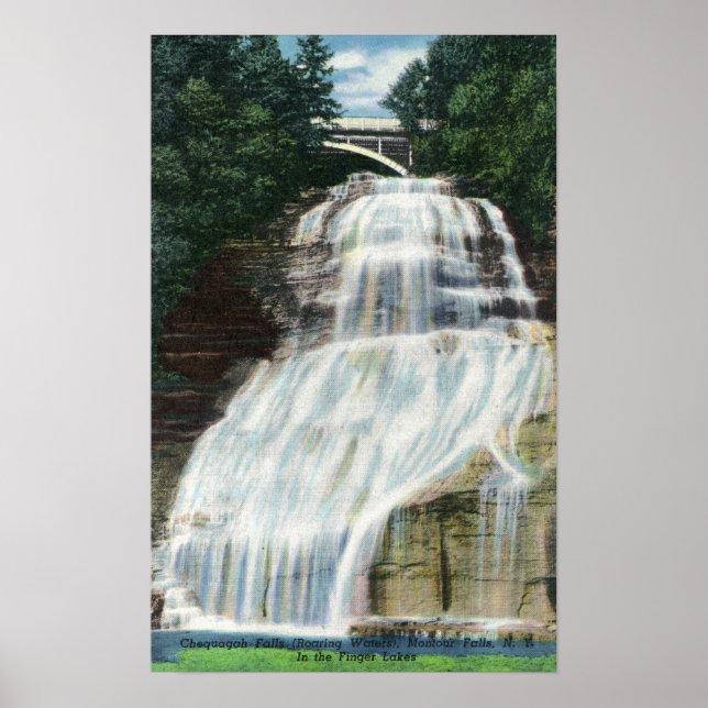 Affiche Vue des chutes Chequagah (Devant)