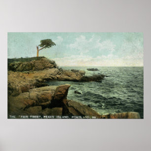 Affiche Vue d'île de crêtes et de l'arbre de paires