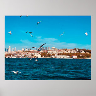 Affiche Vue d'Istanbul avec mouettes par beau temps, B