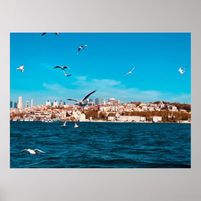 Affiche Vue d'Istanbul avec mouettes par beau temps, B (Devant)