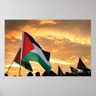 Affiche Vue Drapeau Palestine