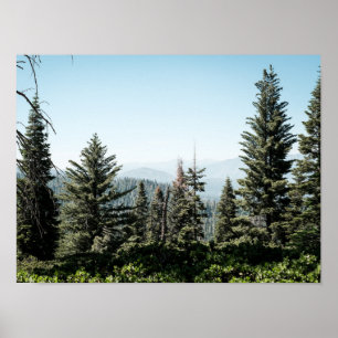 Affiche Vue du canyon de Kings dans la forêt de la Sierra 