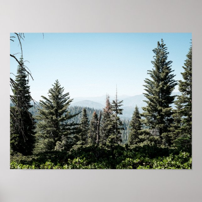Affiche Vue du canyon de Kings dans la forêt de la Sierra  (Devant)