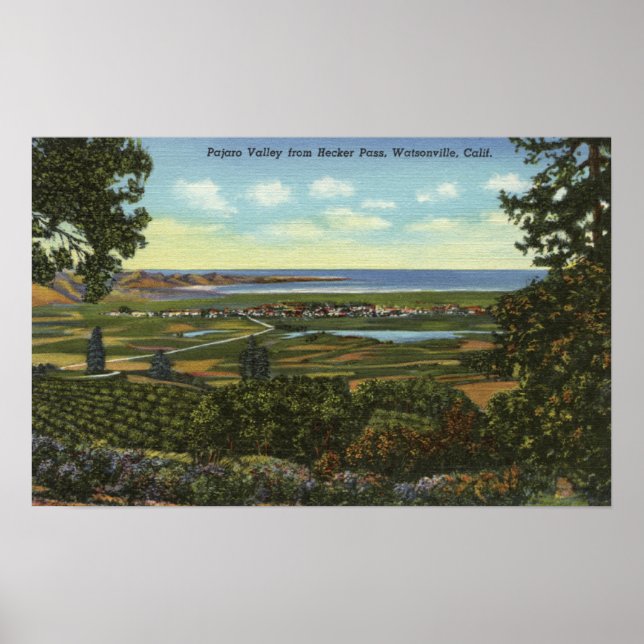 Affiche Vue du col de Hecker sur la vallée de Pajaro (Devant)
