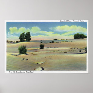Affiche Vue du désert du Maine
