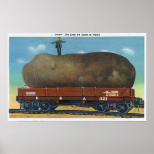 Affiche Vue du genre de pommes de terre élevées dans le Ma