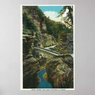 Affiche Vue du pont de sentinelle et du tunnel supérieur