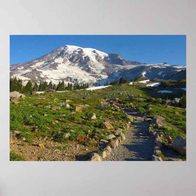 Affiche Vue du sentier Skyline du mont Rainier (Devant)