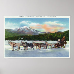 Affiche Vue d'une équipe de luge tirée par des chiens sur