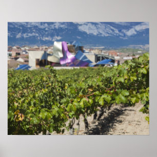 Affiche Vue élevée sur la ville et Hôtel Marques de Riscal
