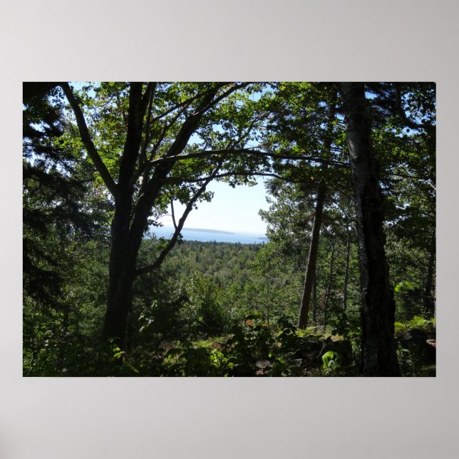 Affiche Vue estivale dans le parc national d'Acadia (Devant)