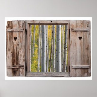 Affiche Vue Forêt de bouleau