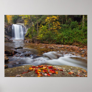 Affiche Vue Glass Falls Pisgah Forêt nationale