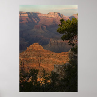 Affiche Vue Grand Canyon