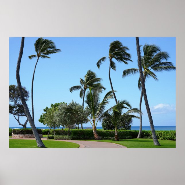 Affiche Vue hawaïenne pittoresque (Devant)