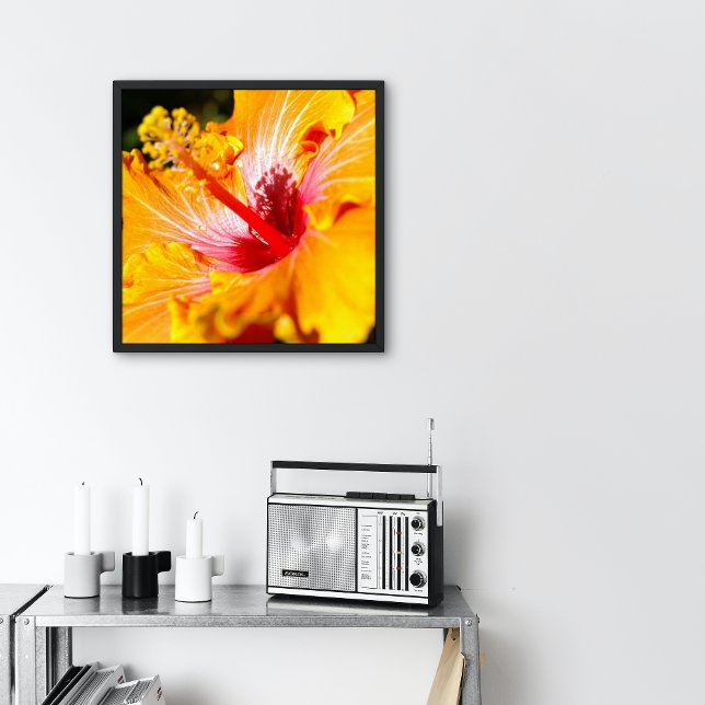 Affiche Vue latérale de la fleur d'hibiscus orange petite (Créateur téléchargé)