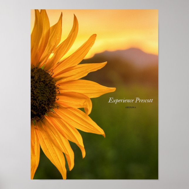 Affiche Vue latérale - Expérience Prescott (Devant)