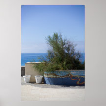 Vue Mer Obstruée Par Un Arbuste