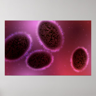 Affiche Vue Microscopique De Samllpox 2