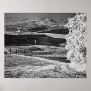 Affiche Vue noir et blanc de la route sinueuse