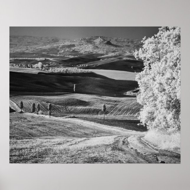 Affiche Vue noir et blanc de la route sinueuse (Devant)