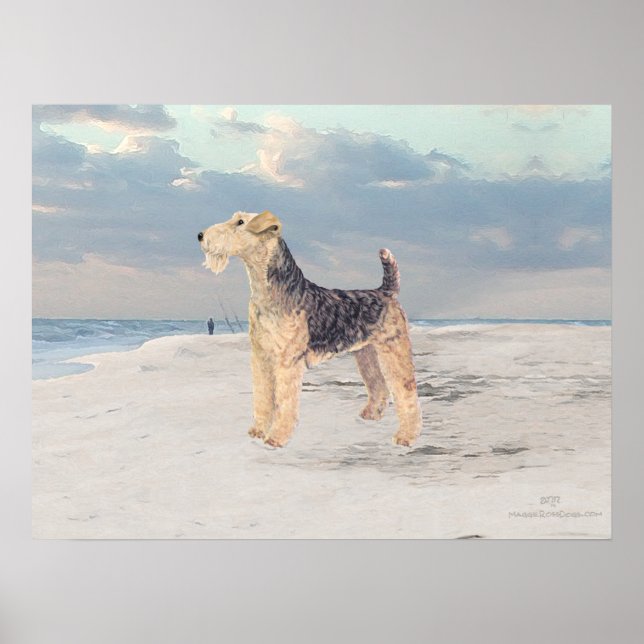 Affiche Vue océan (Devant)