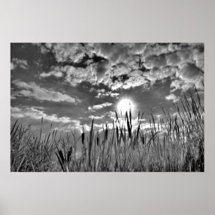 Affiche Vue oeil de canard