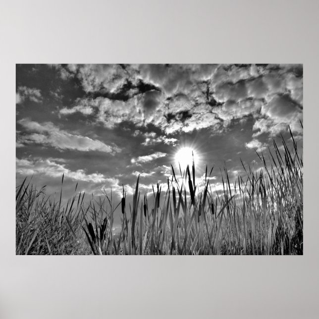 Affiche Vue oeil de canard (Devant)