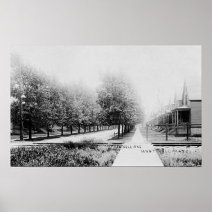 Affiche Vue ouest de Parnell Avenue