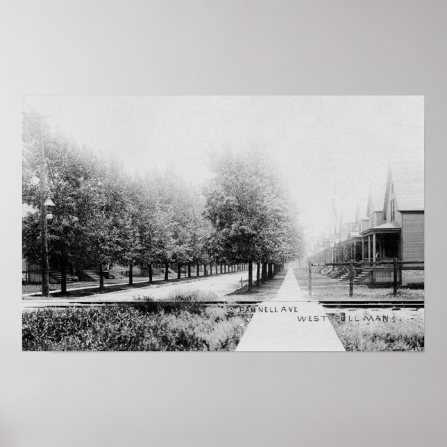 Affiche Vue ouest de Parnell Avenue (Devant)