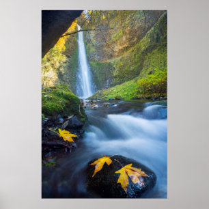 Affiche Vue panoramique verticale de Tunnel Falls