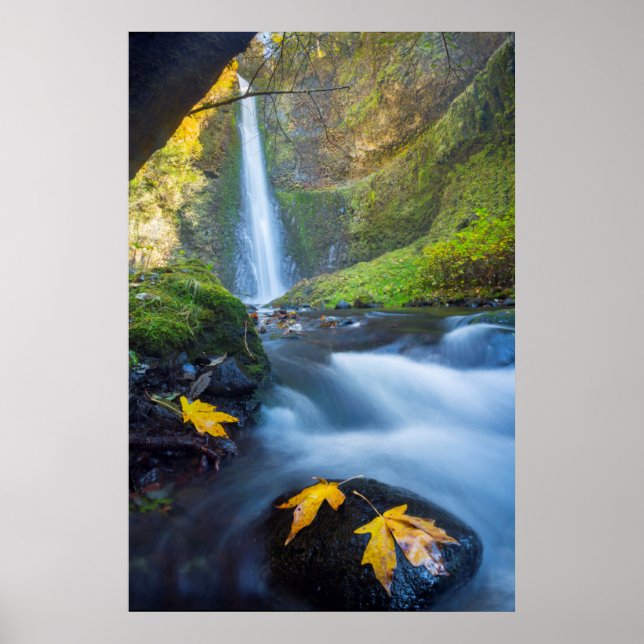 Affiche Vue panoramique verticale de Tunnel Falls (Devant)