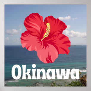Affiche Vue Pittoresque d'Okinawa et Hibiscus