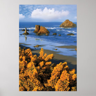 Affiche Vue Plage De L'Oregon À Bandon