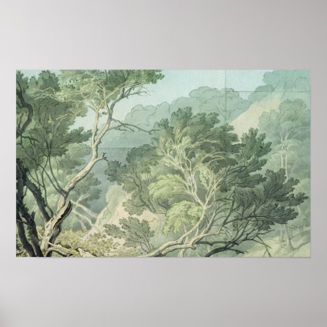 Affiche Vue près de Fordlands, Exeter (Devant)