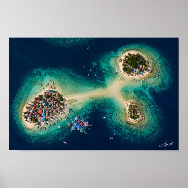 Affiche Vue satellite des îlots de banc de sable d'un vill (Devant)