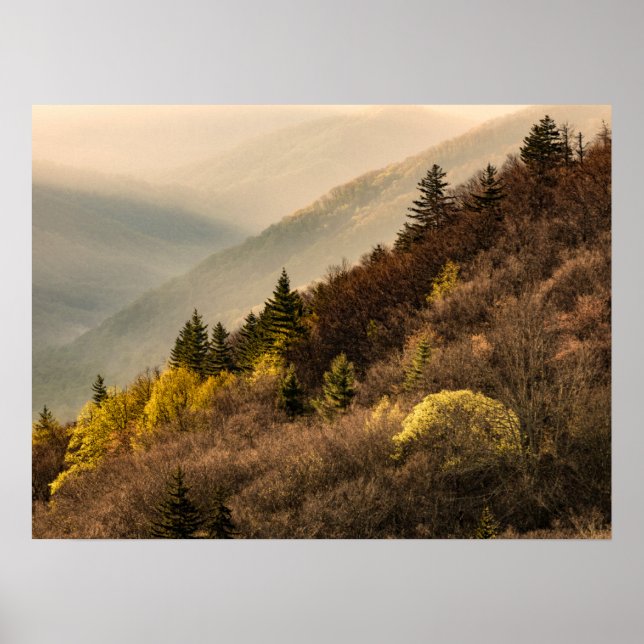 Affiche Vue sur la vallée d'Oconaluftee | Caroline du Nord (Devant)