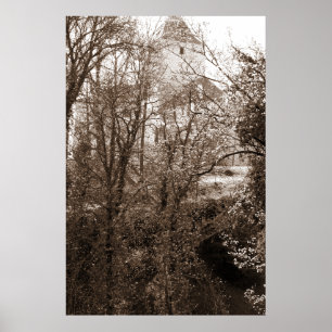 Affiche Vue Sur Le Château Depuis La Forêt