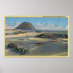 Affiche Vue sur les dunes de sable le long de la côte