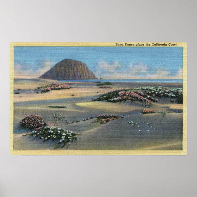 Affiche Vue sur les dunes de sable le long de la côte (Devant)