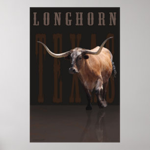 Affiche w/Text -40x60 de puissance de Longhorn -