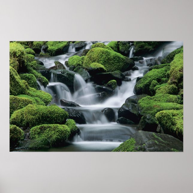 Affiche WA, parc national Olympique, vallée de Sol Duc, ru (Devant)
