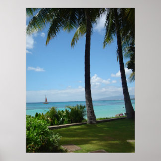 Affiche waikiki